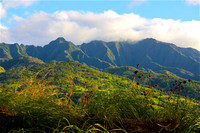 Hawaii Mountains