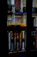 Parisian Balcony