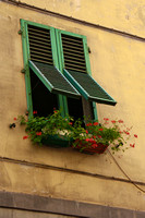 Window Box, Rome